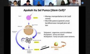 diferensiasi-sel-punca-manusia_e3da39e62.jpg