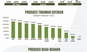 analisis-data-untuk-produktivitas-tanaman_eac9620de.jpg