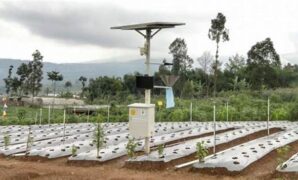 pengelolaan-hama-berbasis-sensor_6bc4816a1.jpg