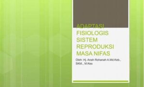 sistem-analitik-fisiologis-cepat_a7b95a596.jpg